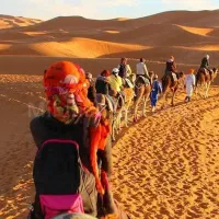 تور یزد، سرزمین بادگیرها|تور و چارتر|اهواز, زیتون کارمندی|دیوار