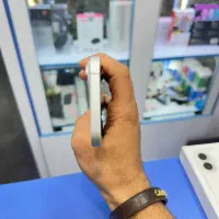 iphone 17|موبایل|رشت, کاکتوس|دیوار