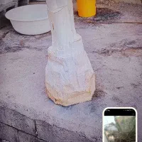 هرسنخلریگاندرمنزلو باغ|خدمات باغبانی و درختکاری|میناب, |دیوار