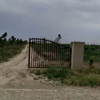 باغچه-شهرکی-نگهبانی-24ساعت-قطره-ای