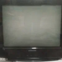 تلوزییون