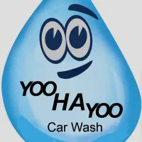 نیروکاری برای کارواش