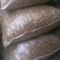بادام