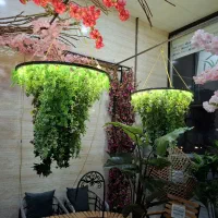 فروش انواع درخچه های مصنوعی، دیوار پوش سبز