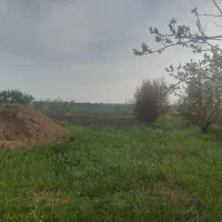 فروش زمین تجاری و مسکونی|فروش زمین و ملک کلنگی|اسلام آباد, |دیوار