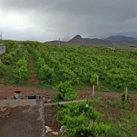 باغ جلفادشت گردیان