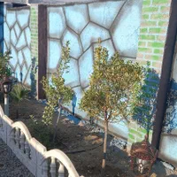 باغچه///۲۰۰ متری
