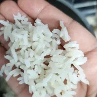 برنج محلی طارم هاشمی بروجرد|خوردنی و آشامیدنی|تهران, مشیریه|دیوار