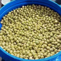 پخش عمده زیتون|عمده‌فروشی|رودبار, |دیوار