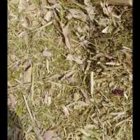 فروش کاه گندم دیم