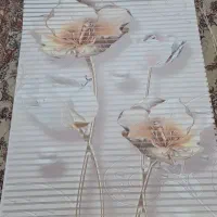 پرده زبرا چاپی