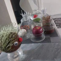 هفت‌سین کریستال