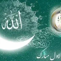 سرمایه گذاری با تضامین معتبرتر ودرآمد۳ برابر بیشتر|استخدام مالی، حسابداری، حقوقی|تهران, جردن|دیوار