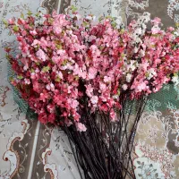 شاخه گل شکوفه گیلاس