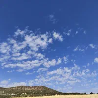 موبایل هانر 50