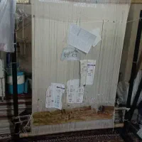 تابلو|تابلو فرش|بروجرد, |دیوار