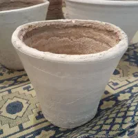 تعدادی گلدان سفالی|گل و گیاه طبیعی|زنجان, |دیوار