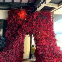 نصب چمن مصنوعی،گرین وال ترموودو فنس اجرای حرفه‌ای