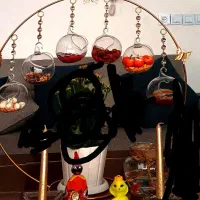 هفت سین زیبا و خاص