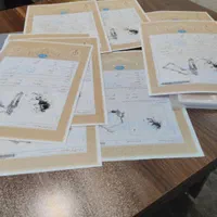 معرفی مال منقول و غیرمنقول جهت ردمال زندانی|خدمات مالی، حسابداری، بیمه|تهران, سلسبیل جنوبی|دیوار