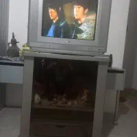 میز تلویزیون دیجیتال نو|تلویزیون و پروژکتور|رودسر, |دیوار