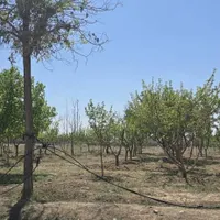 زمین 600متر سهیلیه زعفرانیه کامرانیه سندتک برگ