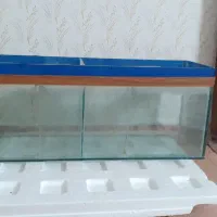 اکواریوم یک متری تر تمیز|ماهی|گرگان, |دیوار