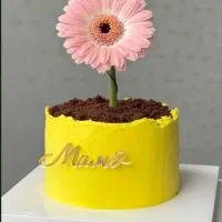 کیک روز مادر