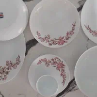 سرویس ارکوپال