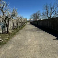 ۴۶۰متر باغچه شهرکی چهار دیواری تهراندشت سرخاب