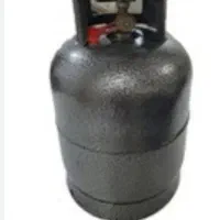 کپسول دوقلو