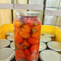 نیازمند همکاری