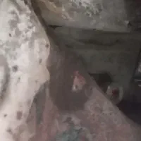 پراید مدل ۸۵ تکسوز