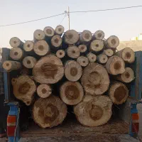 خرید همه نوع چوب