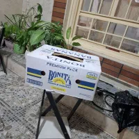 کارتن موزی فروش فوری