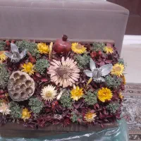 گل خشک دکوری