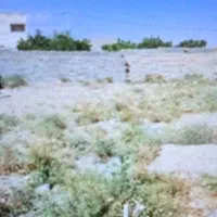 زمین-ویلایی-مناسب-ساخت-ویلاوباغچه