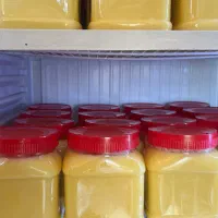 ساری یاغ(روغن زرد ارگانیک)|خوردنی و آشامیدنی|سهند, |دیوار