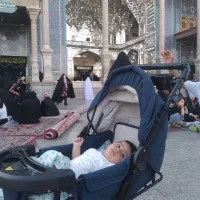 کالسکه|کالسکه و لوازم جانبی|شوشتر, |دیوار