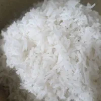 پخش برنج هاشمی وفجر و حبوبات