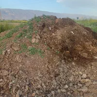 کود گوسفندی پوسیده ۱۵ تن