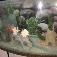 فروش آکواریوم