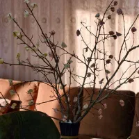 مشارکت ساخت معاوضه گلشهر پرواز فردوس