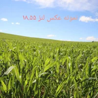 دوربین کنون ۲۵۰d مشابه اکبند زیر ۱۰۰۰ شات|دوربین عکاسی و فیلم‌برداری|تهران, جمهوری|دیوار