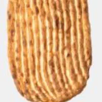 به یک شاطربربری نیازمندیم