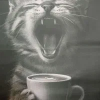 نقاشی سیاه قلم سبک هایپررئال