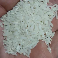 برنج هاشمی  سورتینگ شده|خوردنی و آشامیدنی|رشت, کوی غلام نیا|دیوار