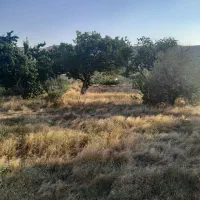 باغ-سه-بر-ویلایی-سنددار-باسمنج