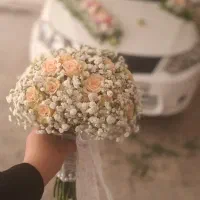 ماشین عروس|خدمات پذیرایی، مراسم|مشهد, شهرک رازی (شهرک غرب)|دیوار