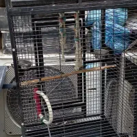 دوتاقفسه نو نو. مشگی با جای غذا